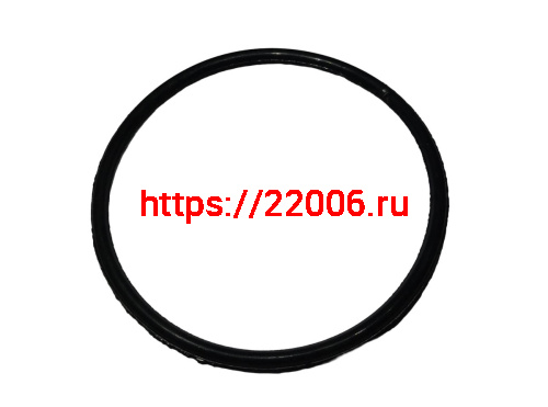 Кольцо Буран уплотнительное коллектора малое 50х3 (110500107) Кольцо Буран уплотнительное коллектора малое 50х3 (110500107)