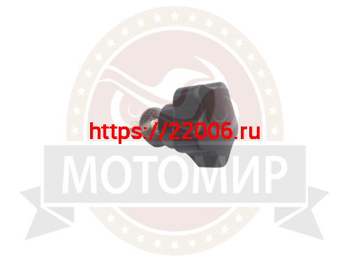 Болт крепления переднего пластика DINGO T110,T125,T150 (М8*24.5мм) (ПР) Болт крепления переднего пластика DINGO T110,T125,T150 (М8*24.5мм) (ПР)