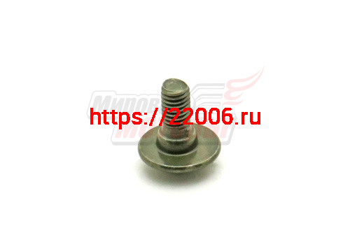 Винт крепления облицовки с увеличенной прессшайбой M5*12 Storm Indigo