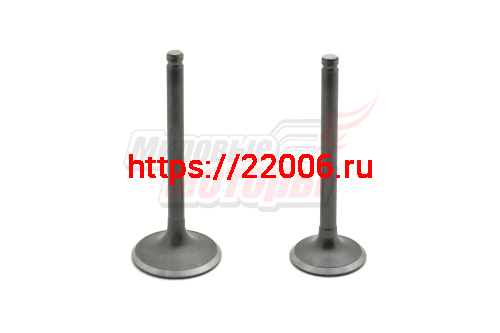 Клапаны (впуск/выпуск) 1P54FMI 125см3 STORM INDIGO (d-23/27 L-63/66)