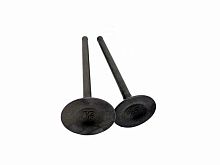 Клапана ГБЦ 172FMM (CB250D-F) (d=27/32) (I=86/89)