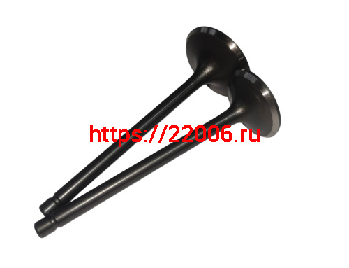 Клапан впускной/выпускной SHINERAY  270CBB (172YMN-3) (22020105, 22020106)(34189-28188)